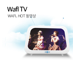 Wafl TV